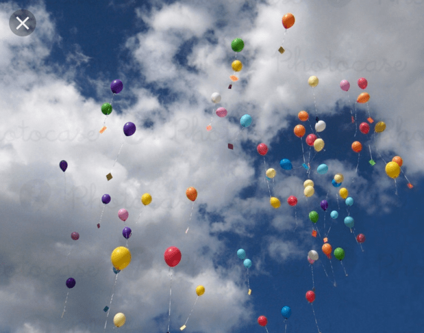 Screen Shot 2018-11-12 at 8.36.23 AM