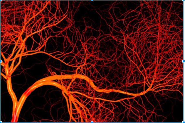 Screen Shot 2018-11-20 at 9.31.59 AM