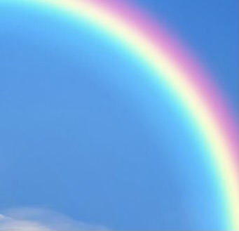 IN SEARCH OF&nbsp;HAPPINESS